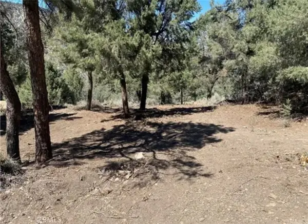 2217 Saint Bernard Drive, Pine Mountain Club, CA 93222