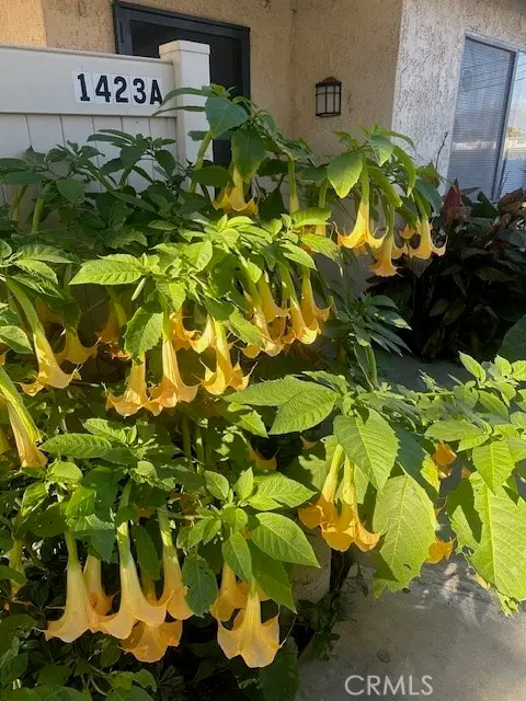 1423 W San Bernardino #A, Covina, CA 91722 - #2