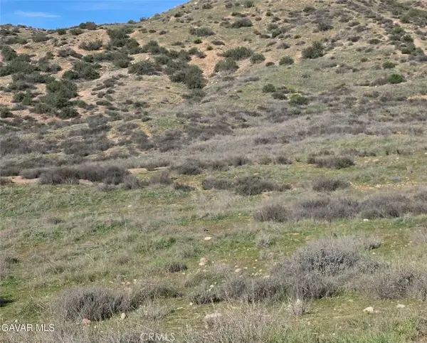 0 Vic Desert Springs Av, Palmdale, CA 93551