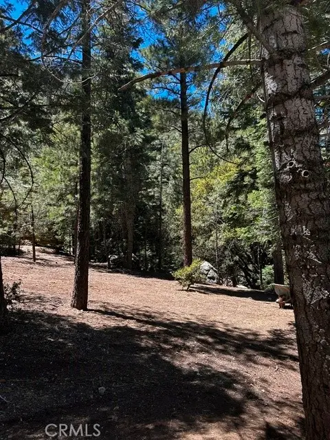 1221 Azalea Dr, Pine Mountain Club, CA 93222