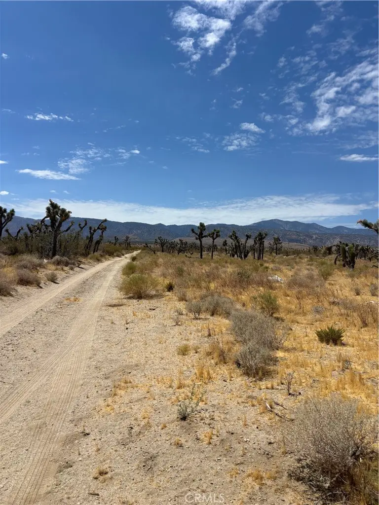 0 235, Llano, CA 93591 - #3