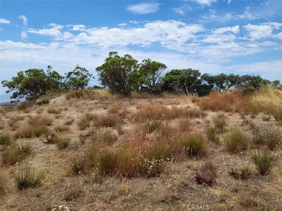 1007 Roan Way, Aguanga, CA 92536 - #3