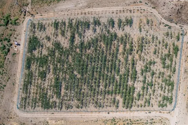 43900 Highway 79, Aguanga, CA 92536