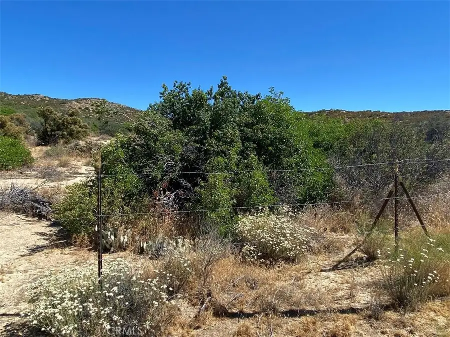 42617 Wild Horse Trail, Anza, CA 92539 - Image #3
