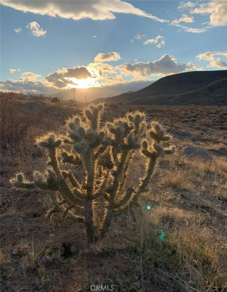 0 E Drive, Pioneertown, CA 92268 - #1
