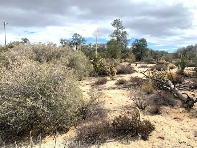 368 Palm Canyon Drive, Mountain Center, CA 92561 - Image #3