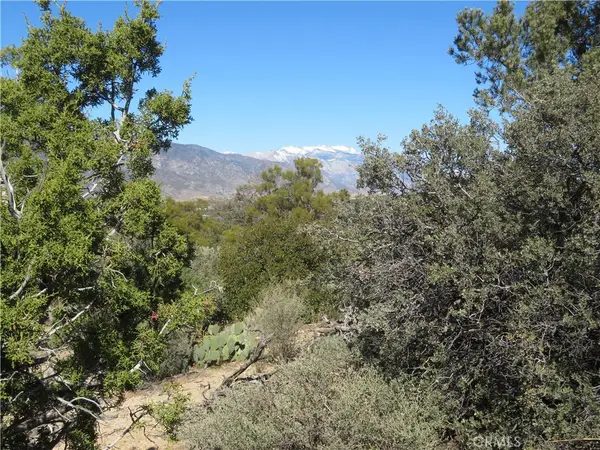155 Lot #155 Buckthorn, Mountain Center, CA 92561