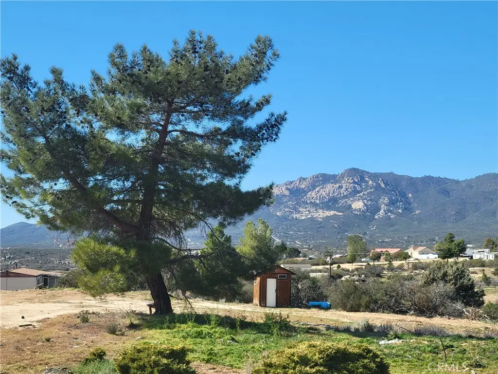 53595 Cave Rock Road, Anza, CA 92539 - #1