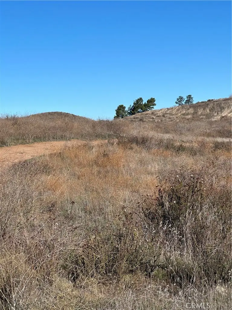 12 Alexander Drive, Hemet, CA 92544 - #2