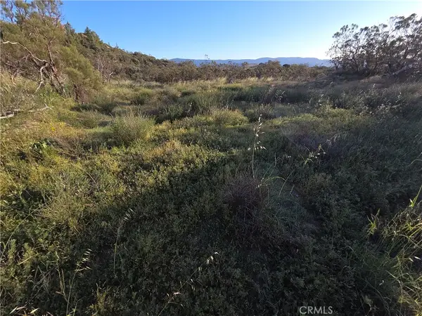 1007 Roan Way, Aguanga, CA 92536