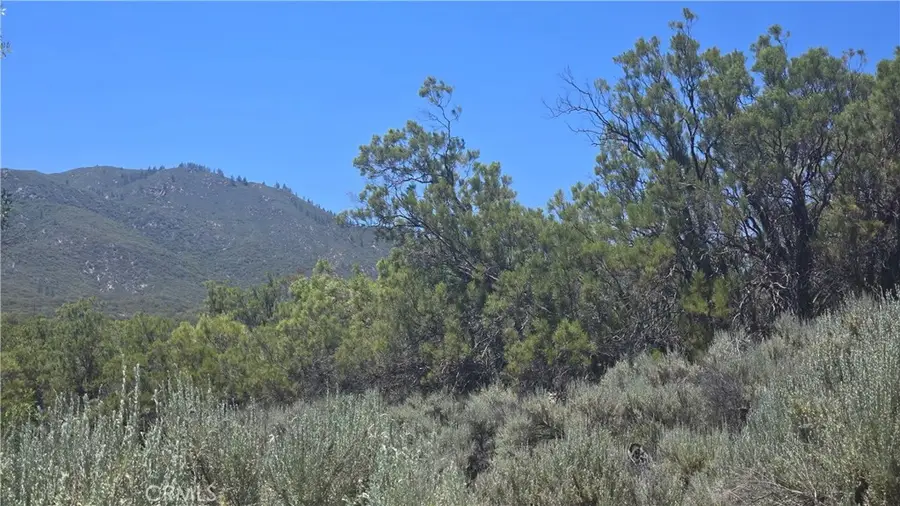 38375 Indian Road, Anza, CA 92539 - #3