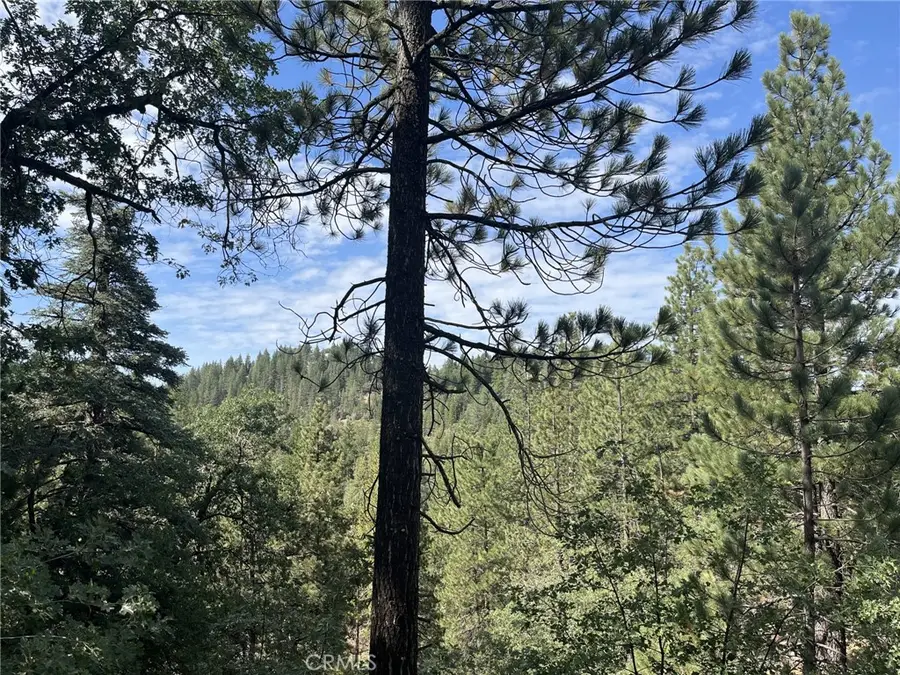 0 Tulip Lane, Running Springs, CA 92314 - Image #2