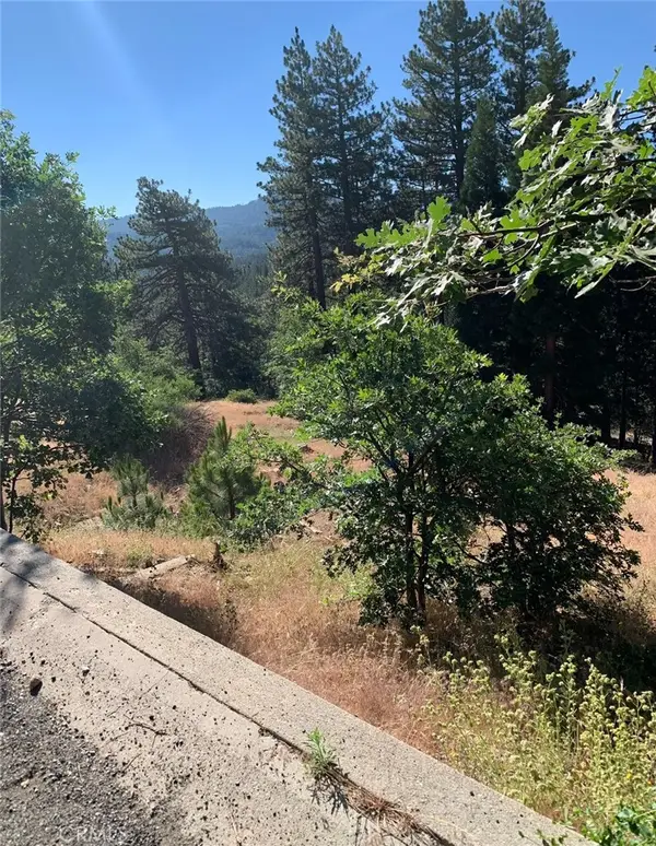 31533 Circle View Drive, Running Springs, CA 92382