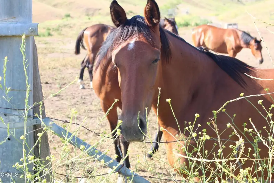 0 Dickenson Road, Santa Paula, CA 93060 - Image #3