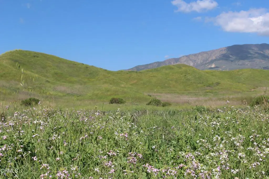 0 Dickenson Road, Santa Paula, CA 93060 - #1