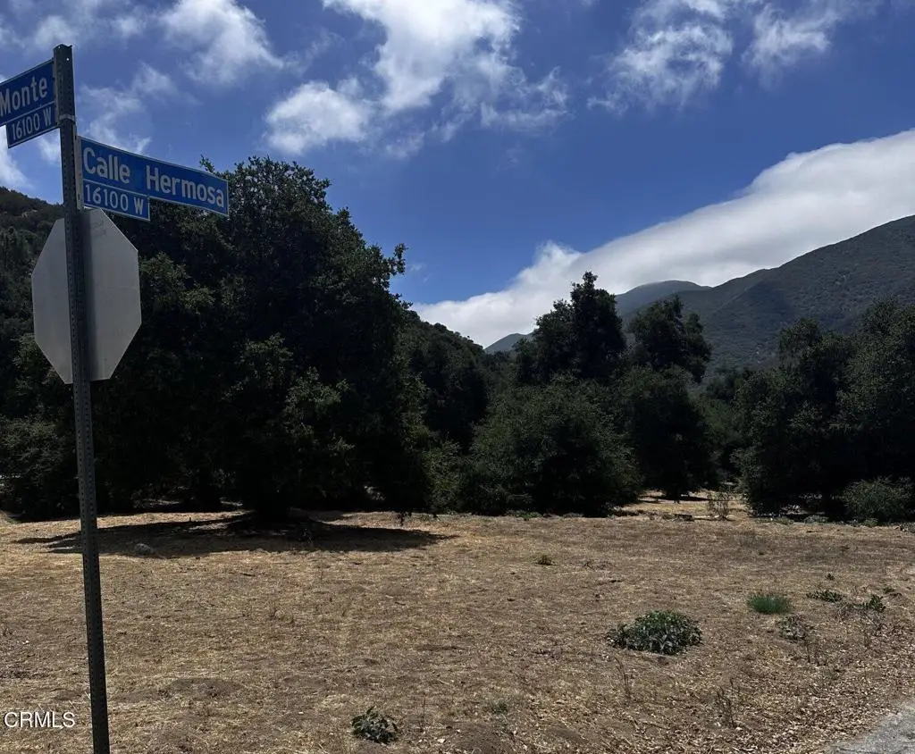0 Calle Hermosa, Green Valley, CA 91390 - #1