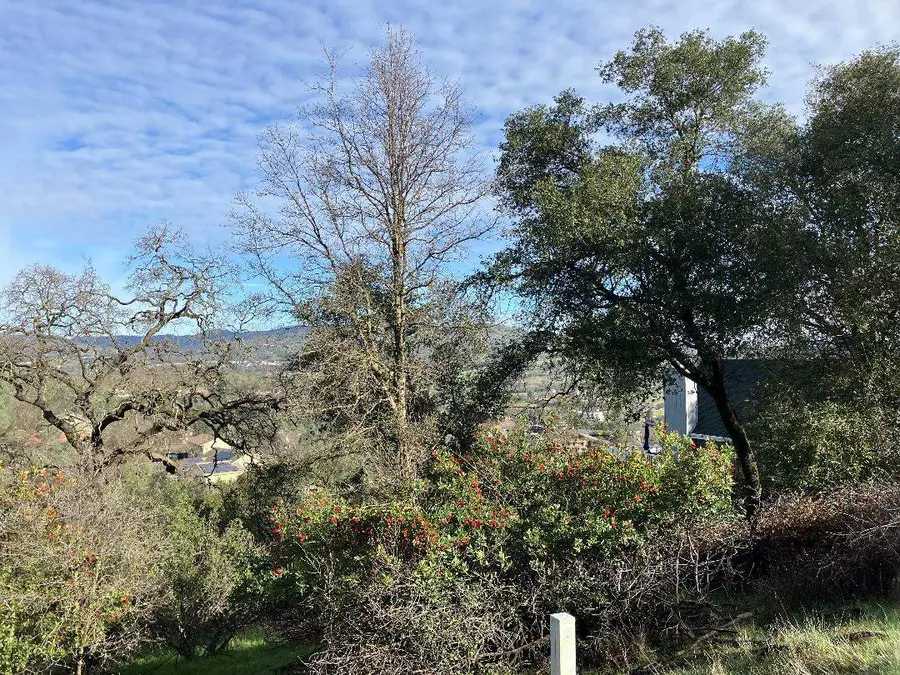 4881 Pueblo Trail, Copperopolis, CA 95229 - Image #2