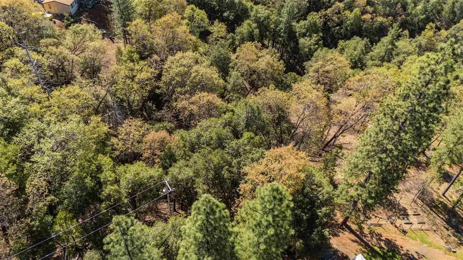 23385 Pack Trail, Sonora, CA 95370 - Image #2