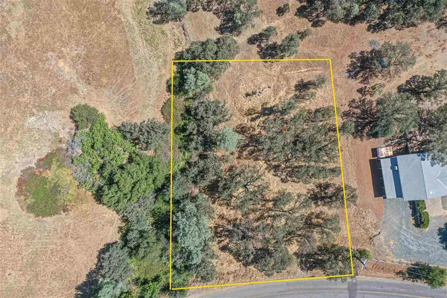10396 Chapulin, Coulterville, CA 95311 - Image #2