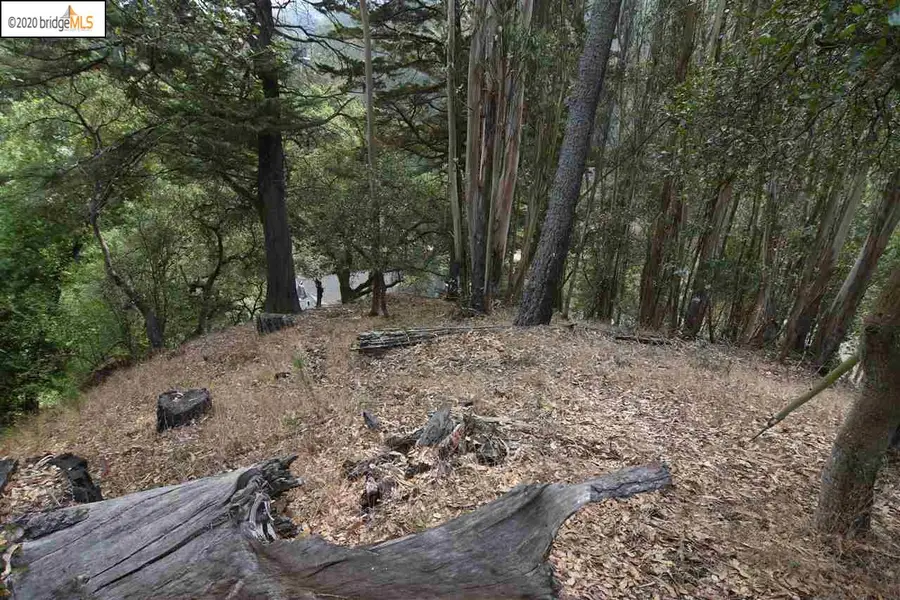 6050 Balboa Dr, Oakland, CA 94611 - Image #3