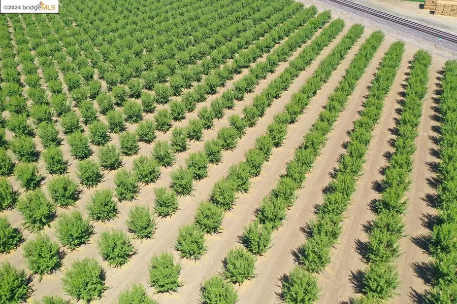 3870 Orwood Rd, Brentwood, CA 94513 - Image #3