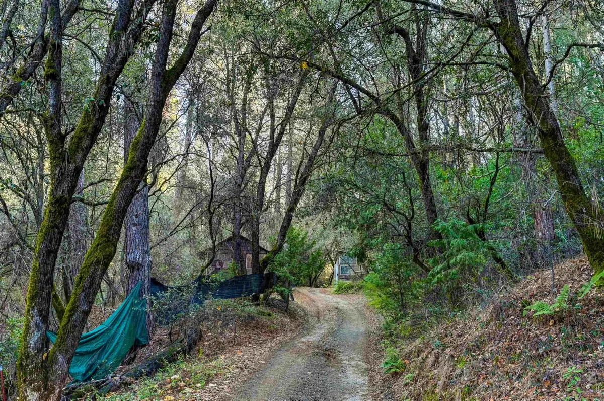 21901 Marcus Ln, Sonora, CA 95370 - Image #1