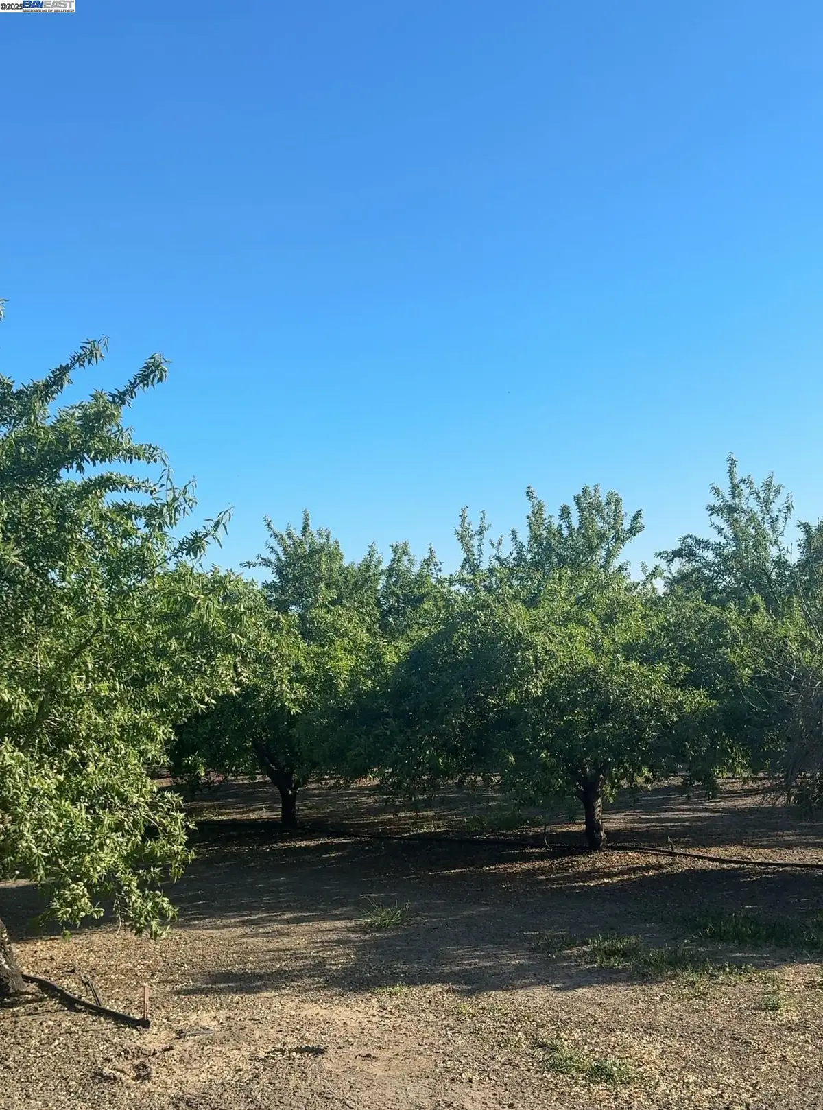 550 W Wright Rd, Tracy, CA 95304 - Image #1