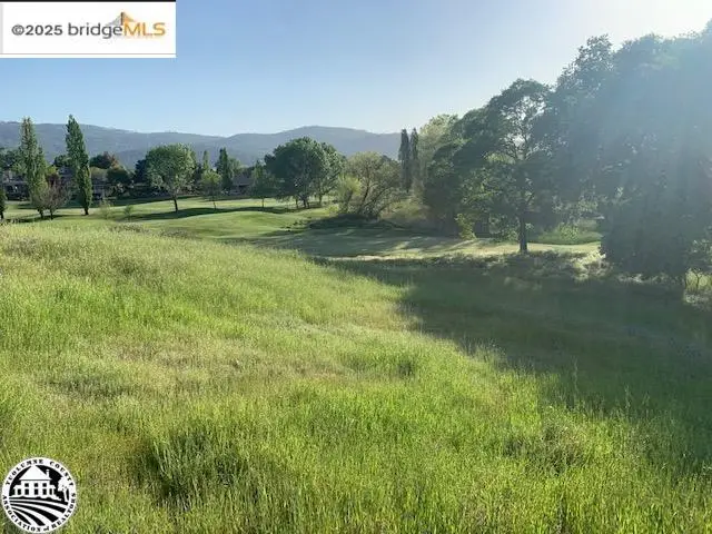 751 Grinding Rock, Angels Camp, CA 95222 - Image #3