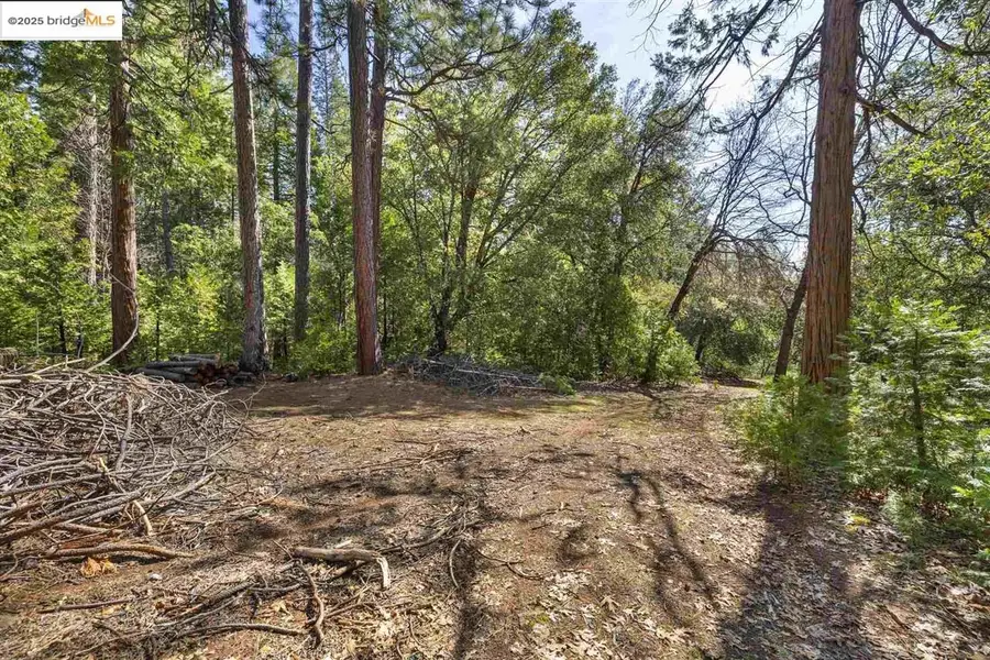 23282 Comstock Ranch, Sonora, CA 95370 - Image #3