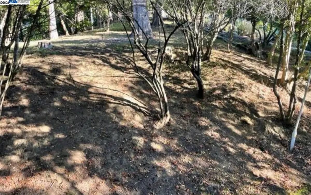 6690 Gunn Dr, Oakland, CA 94611 - Image #1