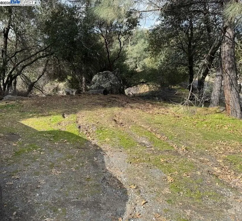 21201 Crystal Falls Dr, Sonora, CA 95370 - Image #1