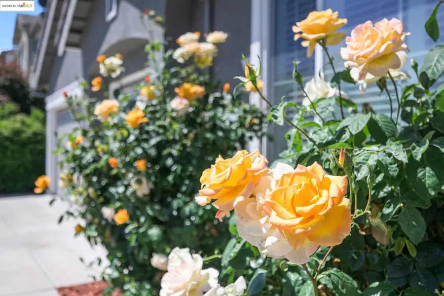 1954 Canyon Oaks Cir, Pittsburg, CA 94565 - Image #3