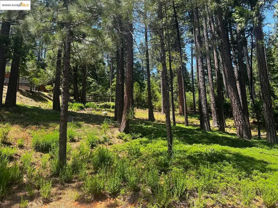 2904 Venado Dr, Arnold, CA 95223 - Image #3