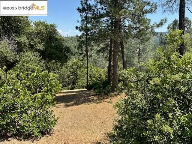 12064 Hillhurst Circle, Groveland, CA 95321 - Image #1