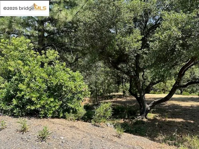 12064 Hillhurst Circle, Groveland, CA 95321 - Image #3