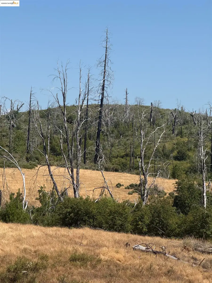 17074 Betty Kaye Lane, Mountain Ranch, CA 95246 - Image #2