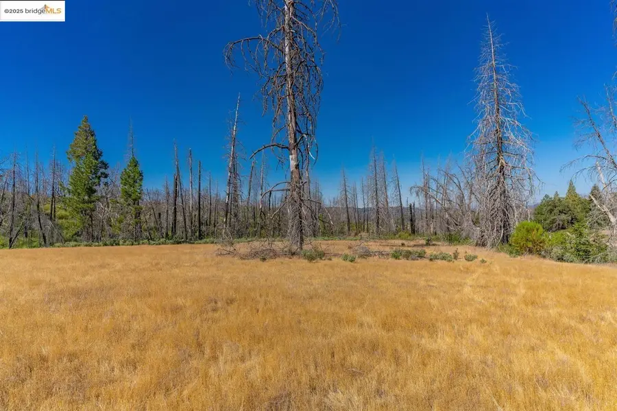 17074 Betty Kaye Lane, Mountain Ranch, CA 95246 - Image #3