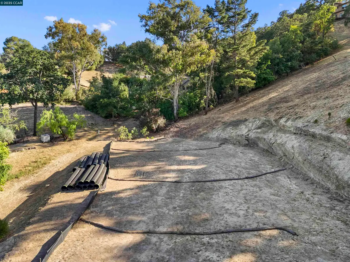 221 Dean Rd, Alamo, CA 94507 - Image #1