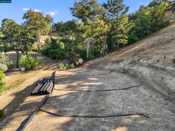 221 Dean Rd, Alamo, CA 94507