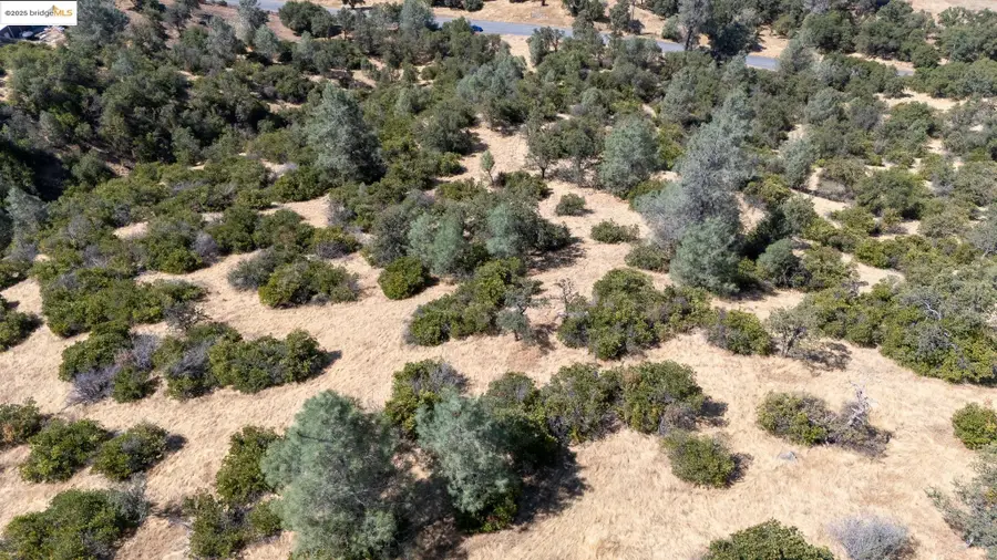 13044 Kanaka, East Sonora Phoenix Lake, CA 95325 - Image #3