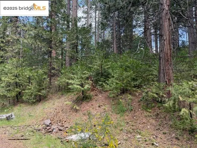 0000 Cedar Pines Ave, Twain Harte, CA 95383 - #2