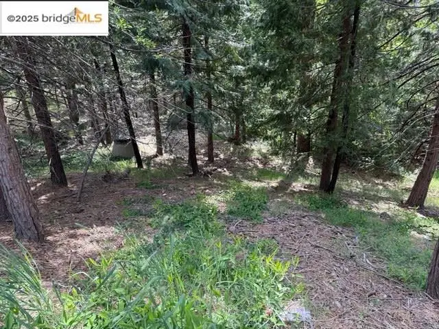 0000 Cedar Pines Ave, Twain Harte, CA 95383 - #3