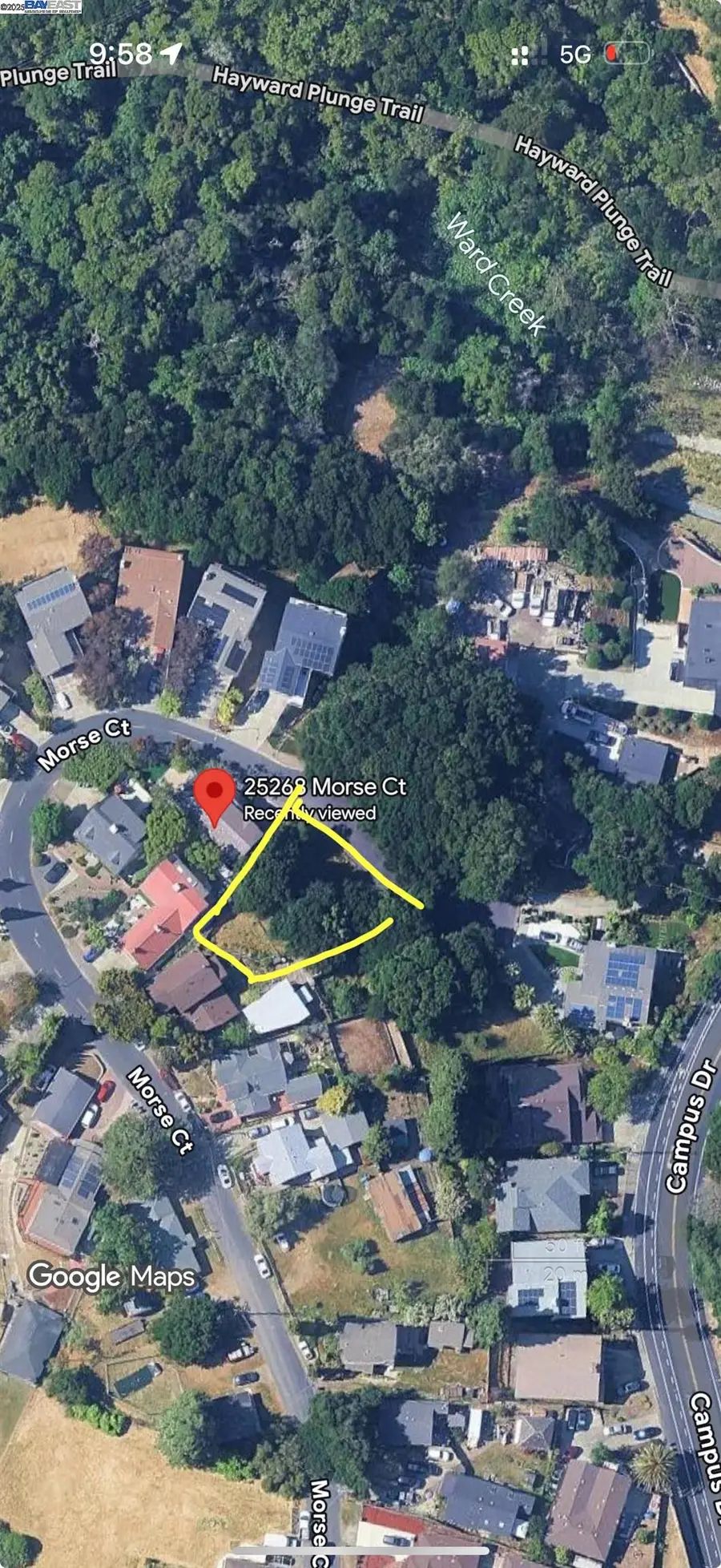 Morse Ave, Hayward, CA 94542 - Image #3