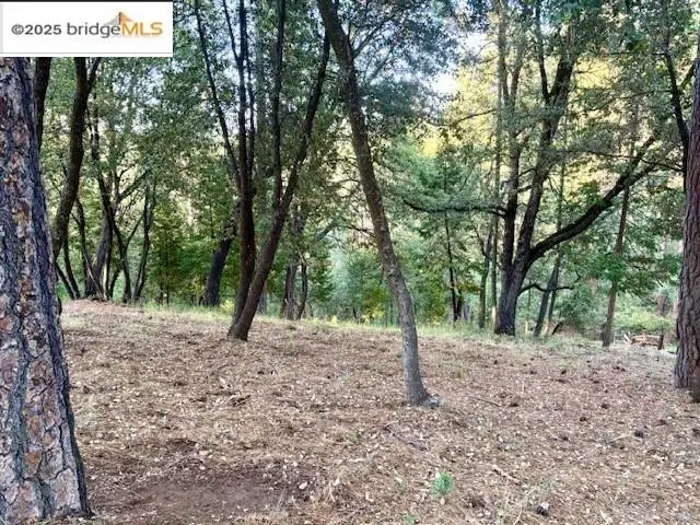 #2