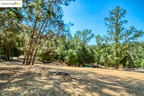12715 Eagle Court, Groveland, CA 95321