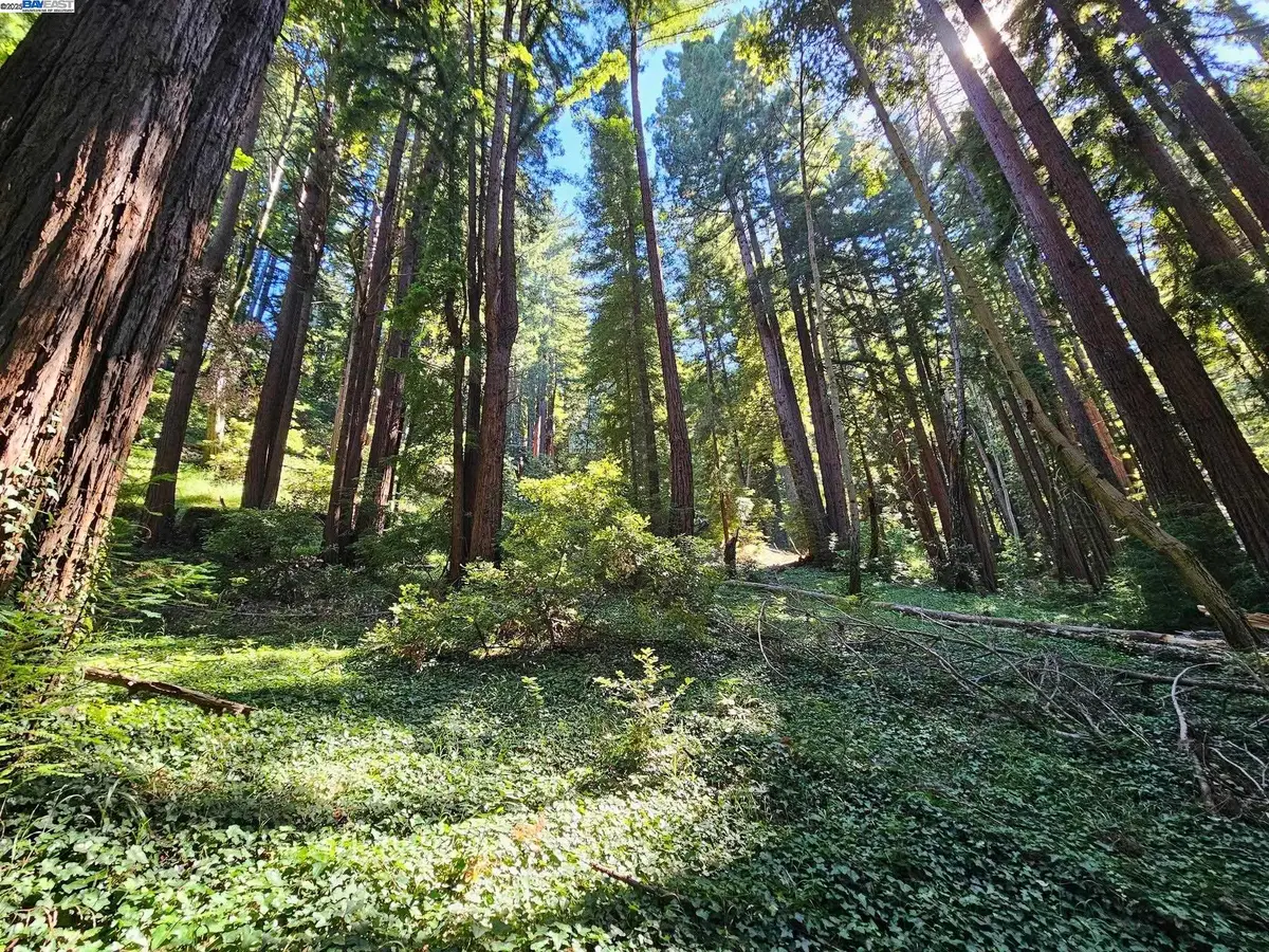 Lot26 Old La Honda Rd, Woodside, CA 94062 - Image #1