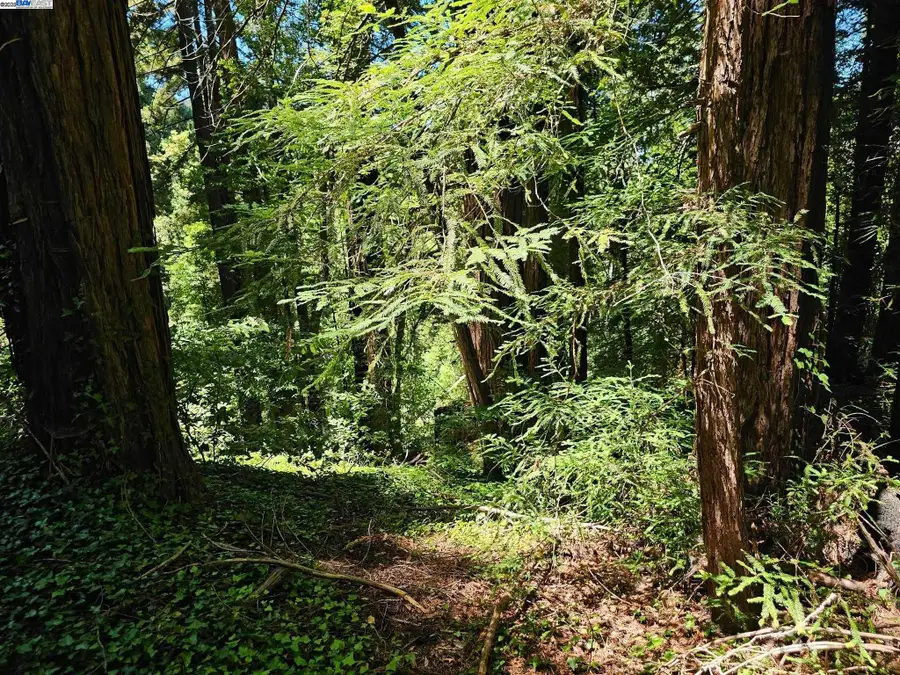 LOT27 Old La Honda Rd, Woodside, CA 94062 - Image #3