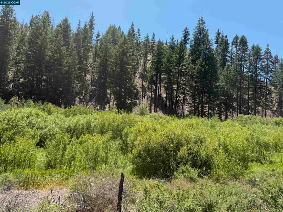 0000 Ohio Valley, Canyon Dam, CA 95923 - Image #3