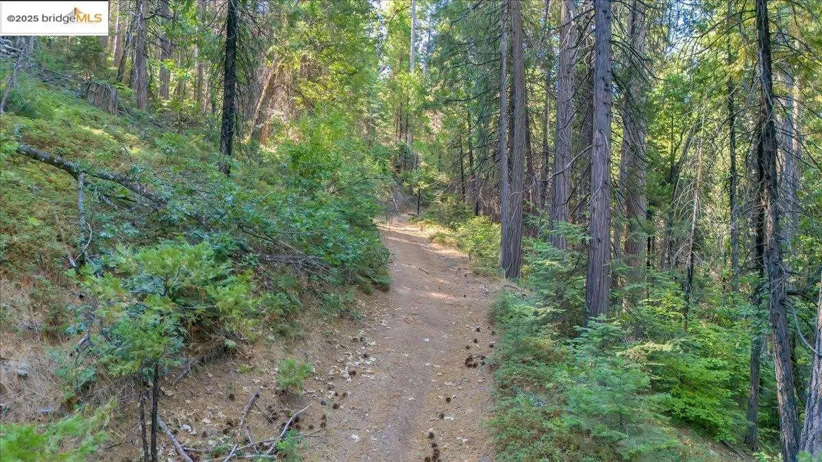 0 Fallen Leaf Ln, Twain Harte, CA 95383 - Image #1