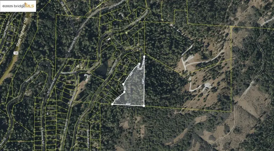 0 Fallen Leaf Ln, Twain Harte, CA 95383 - Image #2